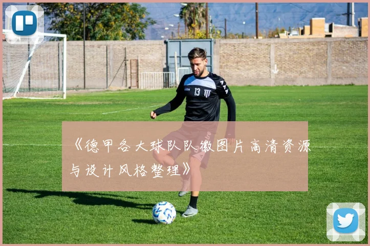 《德甲各大球队队徽图片高清资源与设计风格整理》